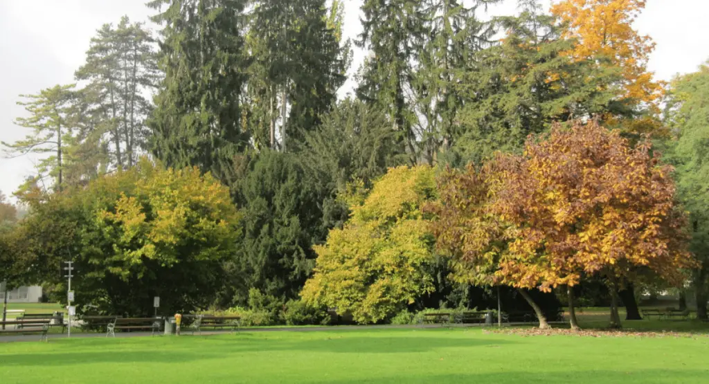 Der Grazer Stadtpark