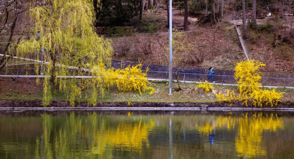 Der Hilmteich in Graz