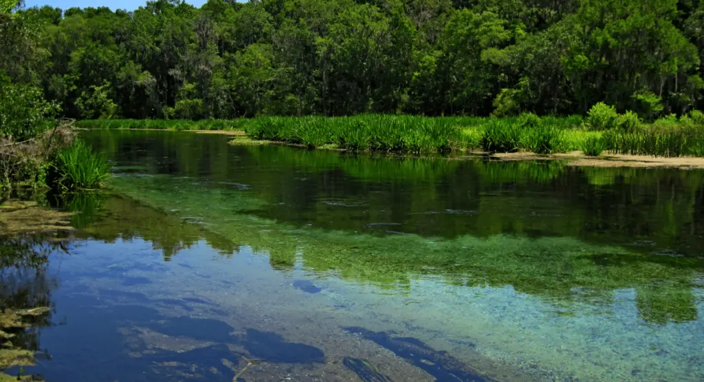 Ichetucknee River in Florida